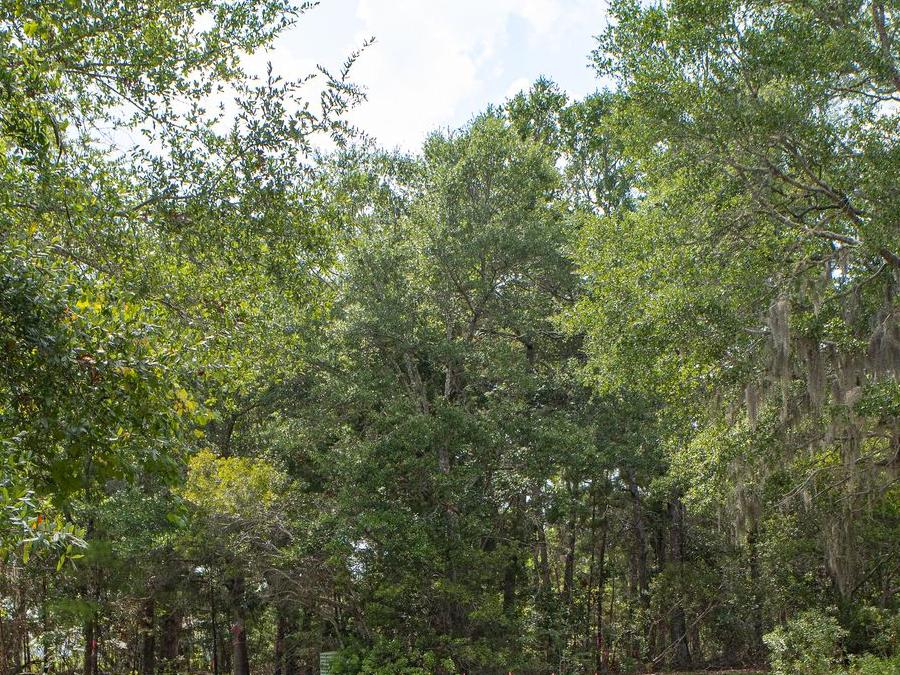 Berkshire Traditional